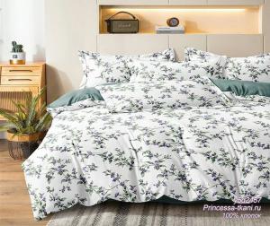 y5d2457 (1) y5d2457 (1)