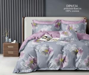 DP6534 (1) DP6534 (1)